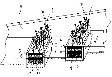 River and lake water greening and purifying method and river and lake water greening and purifying device