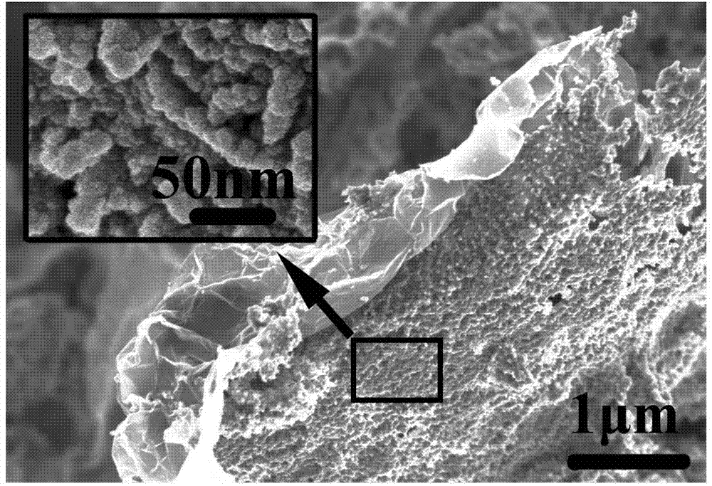 Preparation method for graphene loaded cobalt nickel phosphide composite material