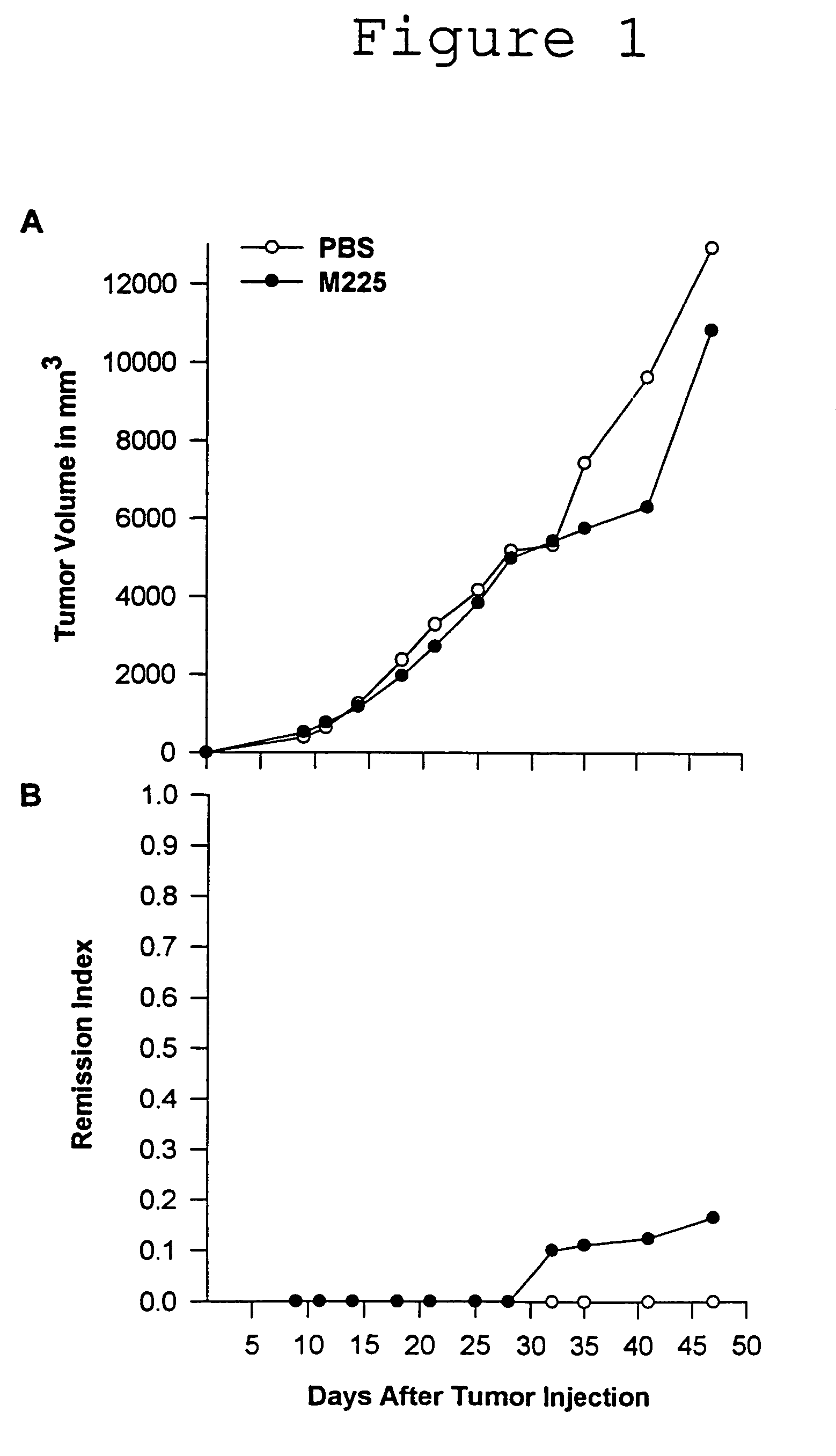 Humanized anti-EGF receptor monoclonal antibody