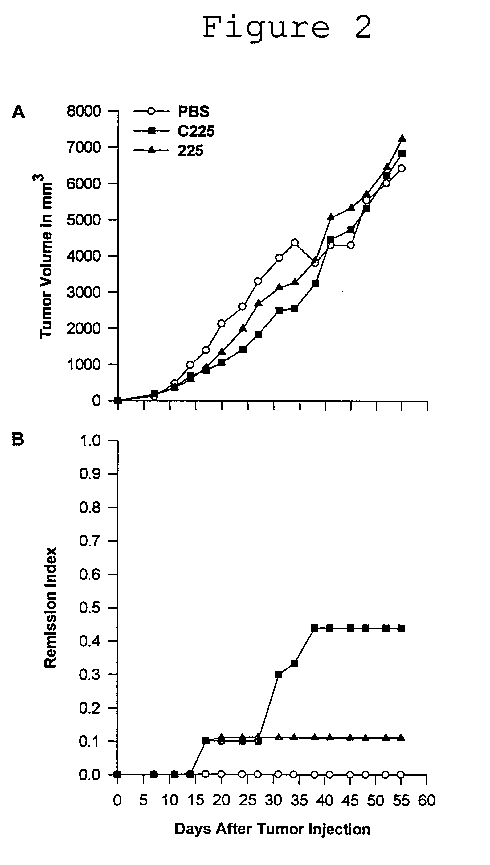 Humanized anti-EGF receptor monoclonal antibody