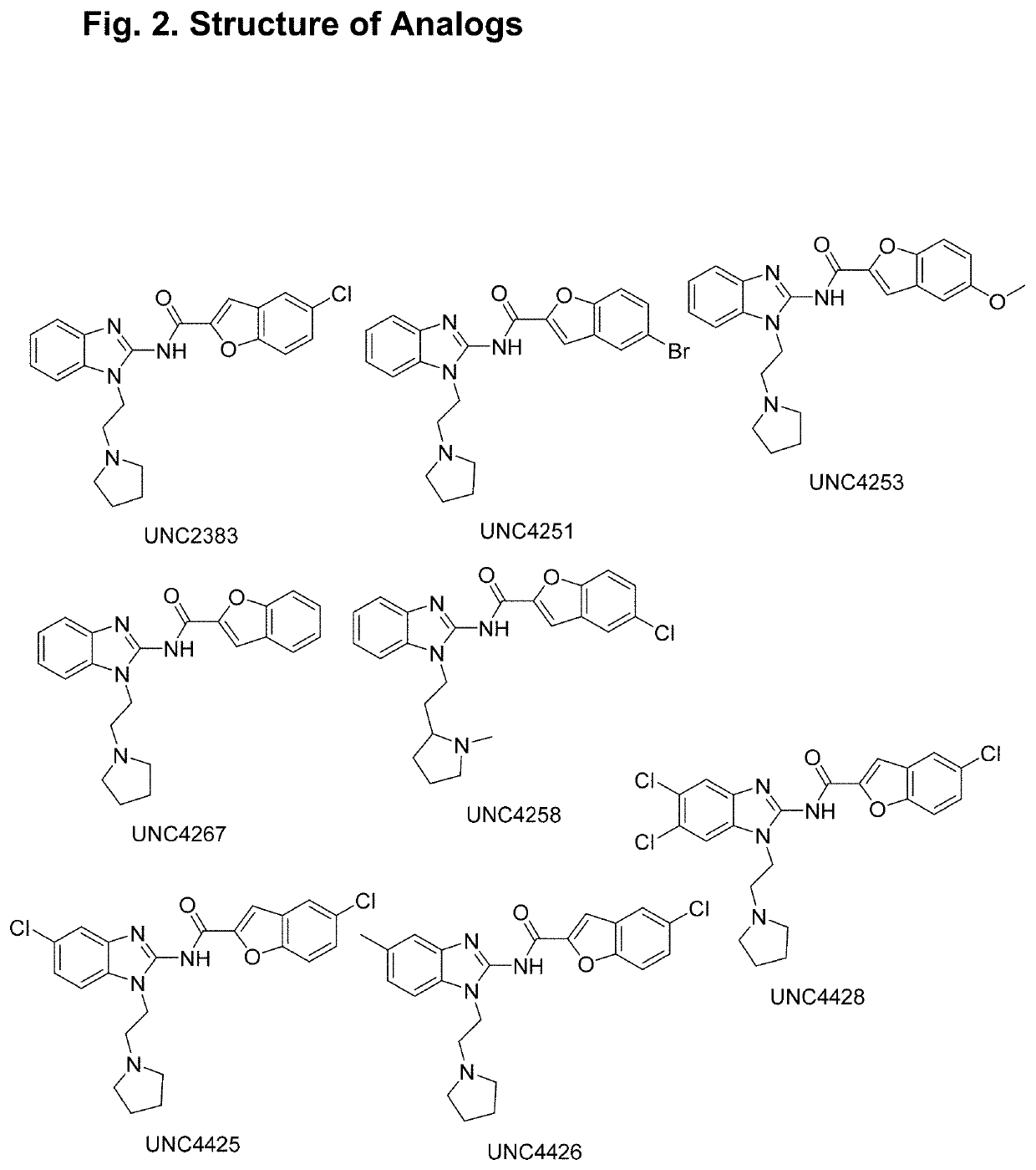 Benzimidazoles that enhance the activity of oligonucleotides