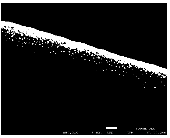 Nitrogen-doped carbon nanofiber electrocatalyst and preparation method and application thereof