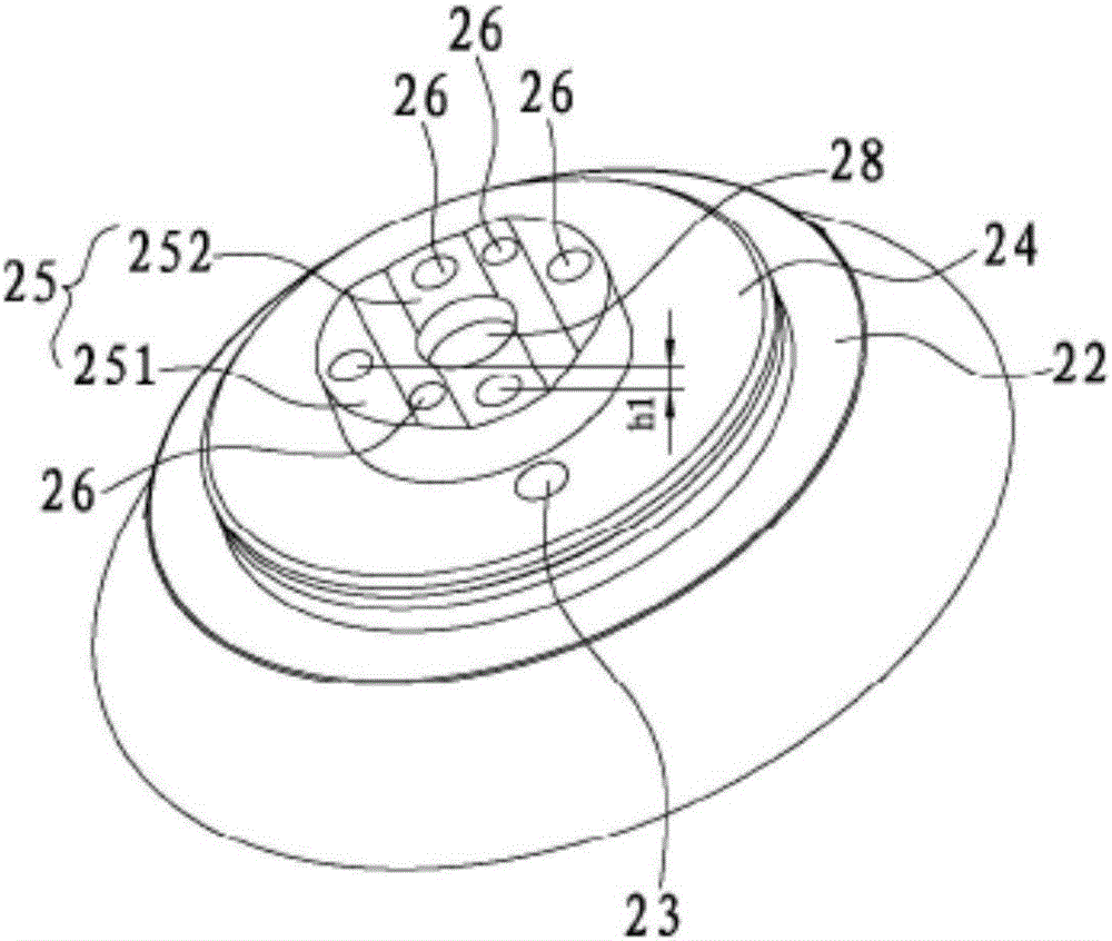 Adjustable type spraying device