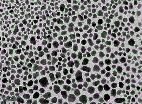 Precious metal-silicon composite powder prepared through galvanic reaction and application thereof