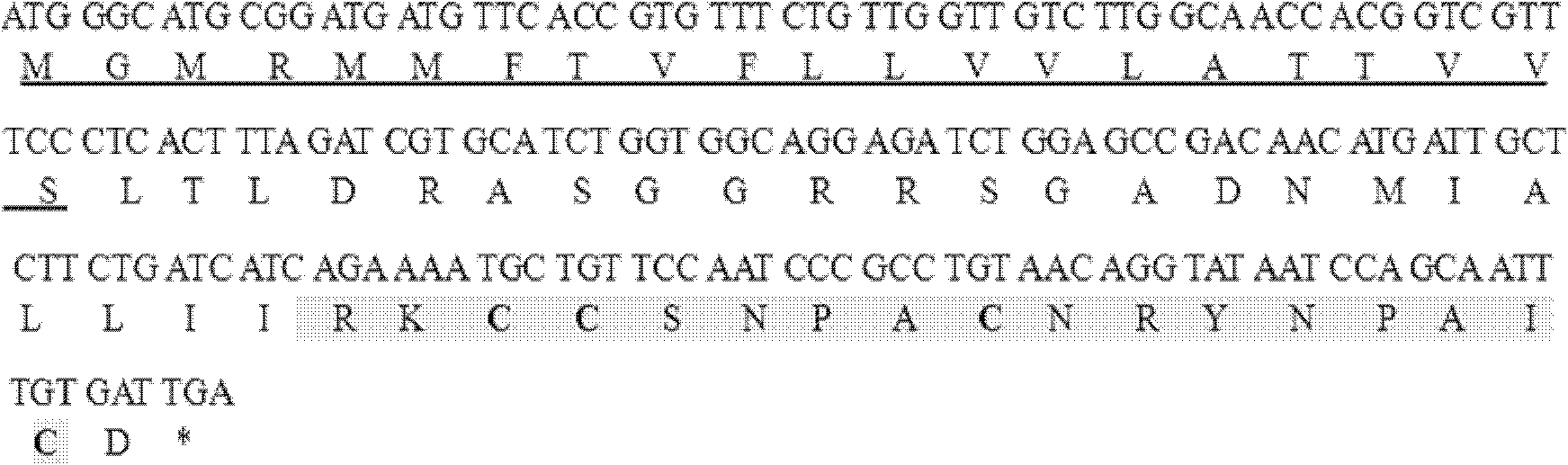 Barrel-shaped alpha conantokin Bt1.3 and application thereof