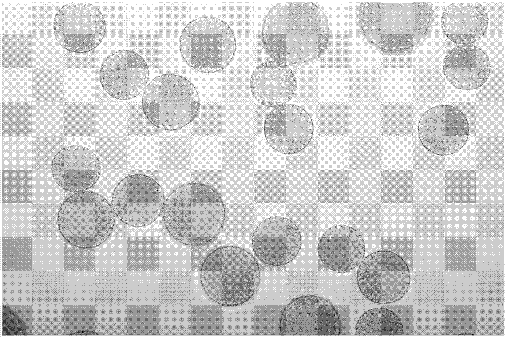 A kind of preparation method of biodegradable polymer microcapsule