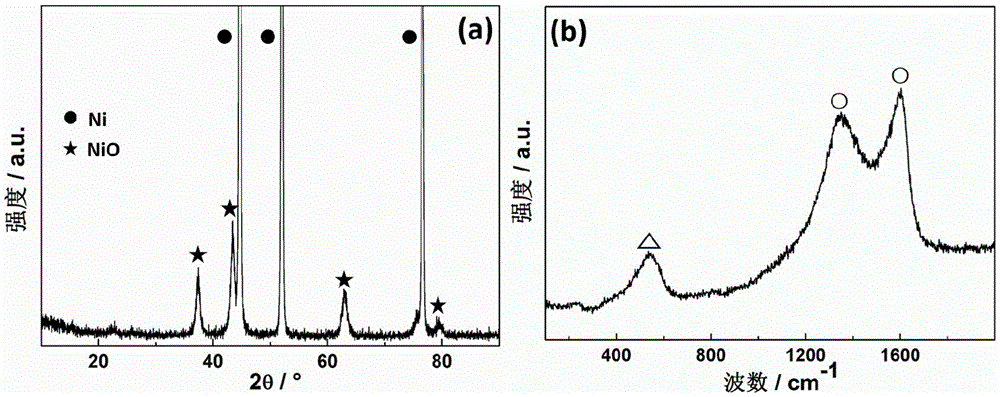 Binder-free lithium ion battery negative electrode material and preparation method therefor