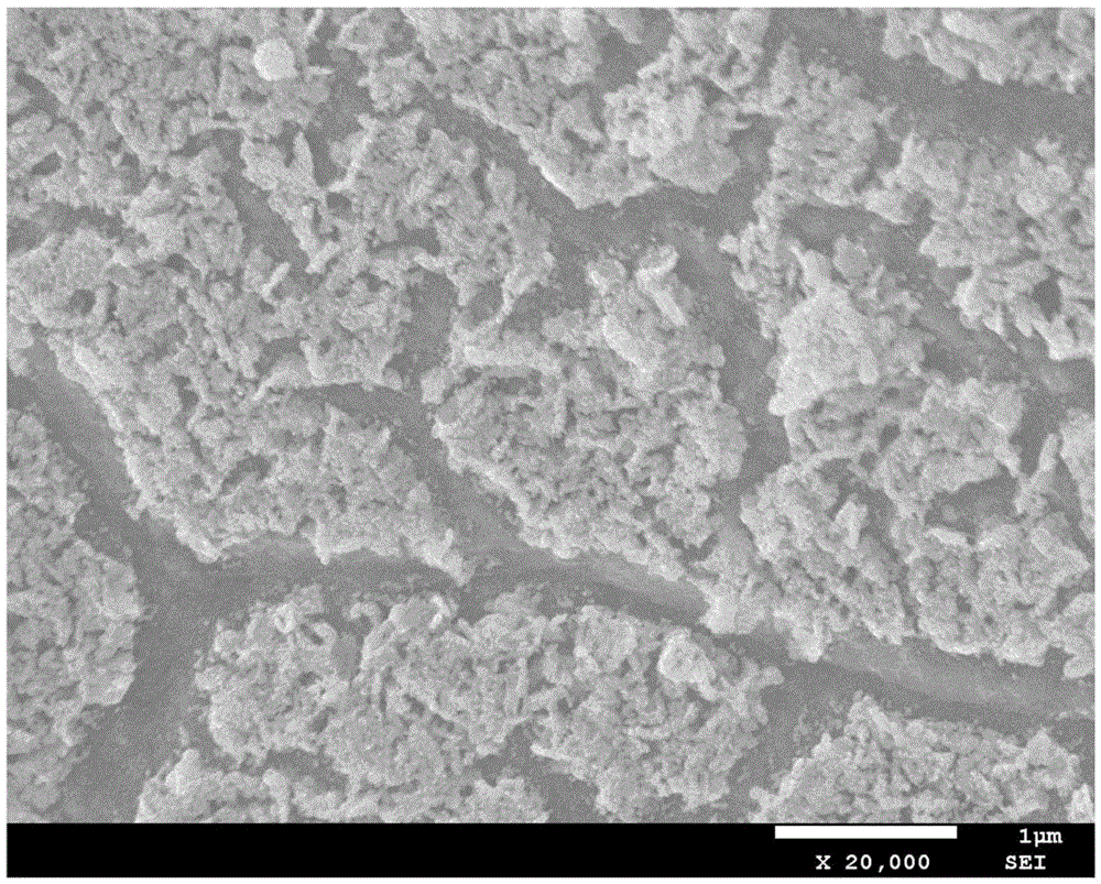 Binder-free lithium ion battery negative electrode material and preparation method therefor