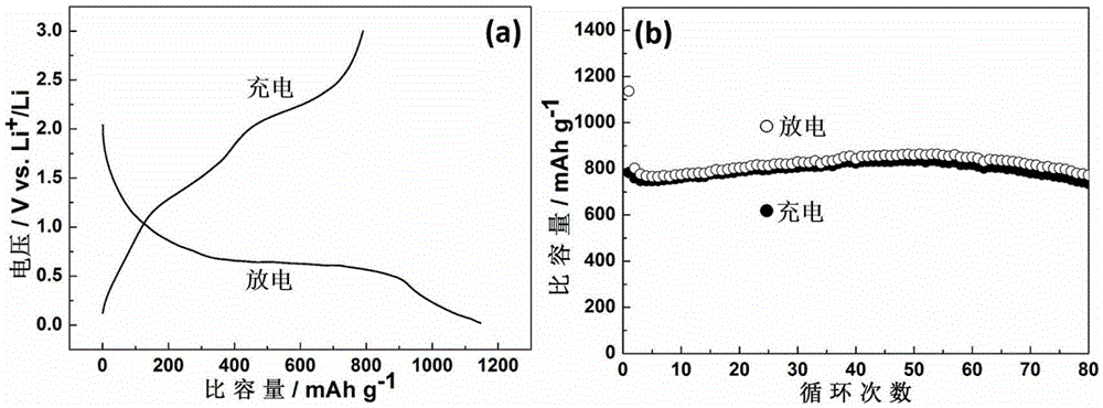 Binder-free lithium ion battery negative electrode material and preparation method therefor