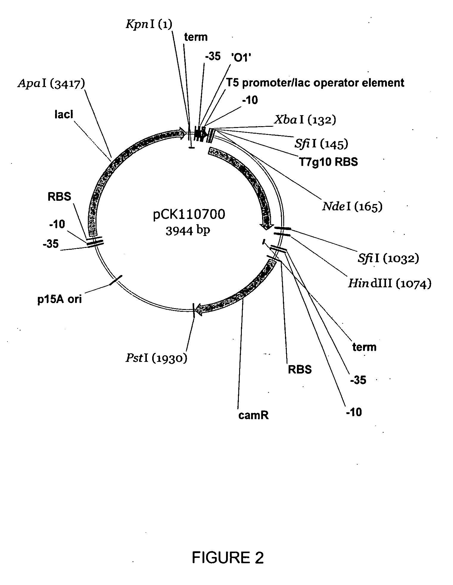 Enzymatic processes for the production of 4-substituted 3-hydroxybutyric acid derivatives