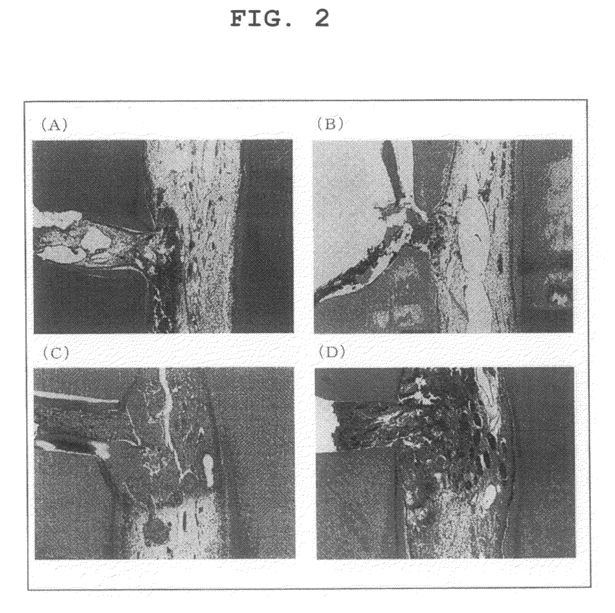 Therapeutic Agent for Dentin-Pulp Complex Regeneration