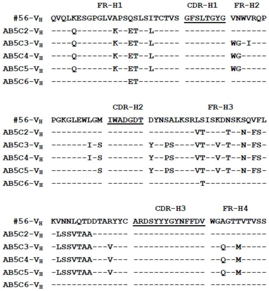 Anti-human NGF antibody and its preparation method and use