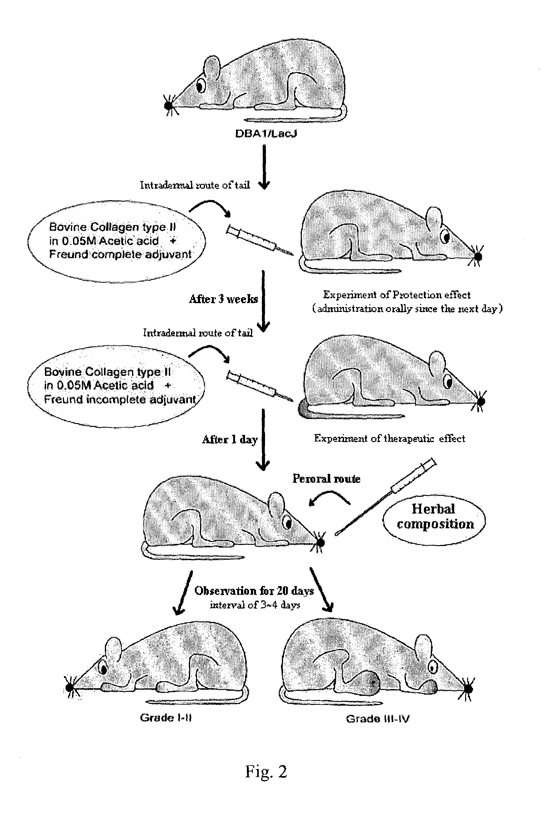 Crude drug compositions for treating or preventing arthritic diseases and the preparation process