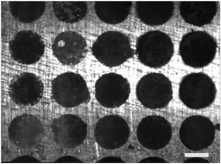 Method for preparing efficient air water-collecting copper surface by virtue of gradient anodic oxidation method