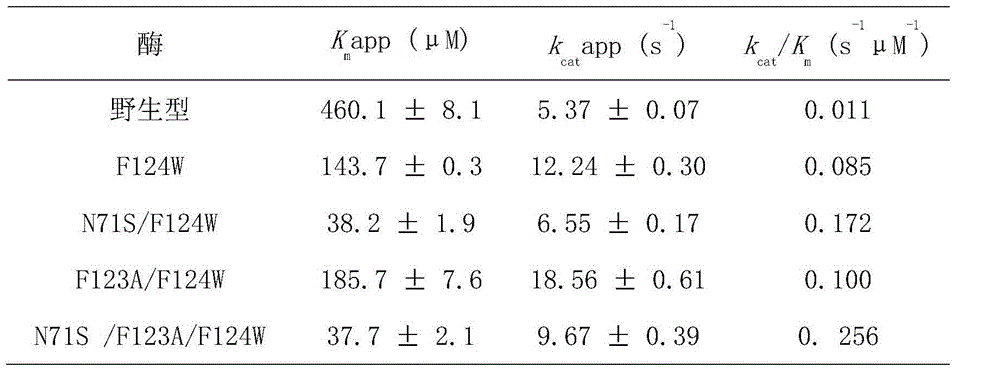 Regioselective bacterium nitroreductase gene and application thereof