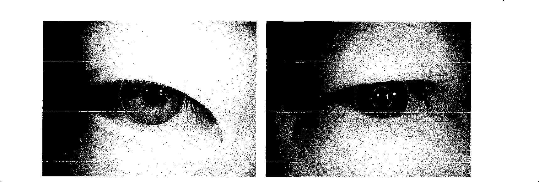 Iris positioning method based on multi-resolutions analysis