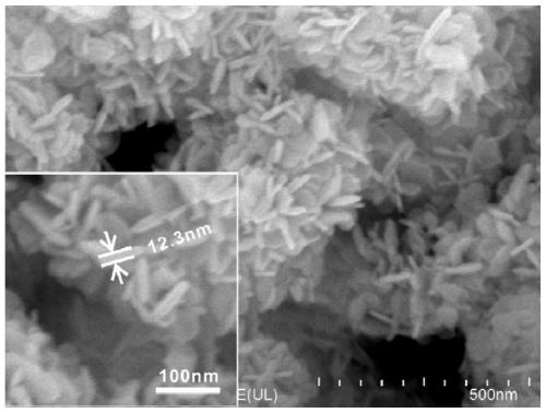 Method for preparing BiOX nanosheets at room temperature in one step