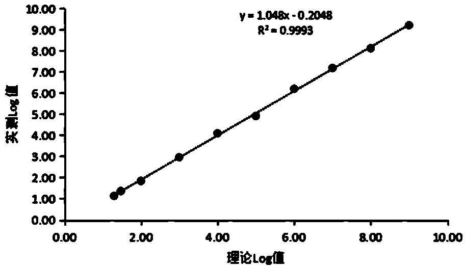 Quantitative detection kit for hepatitis B viral nucleic acid