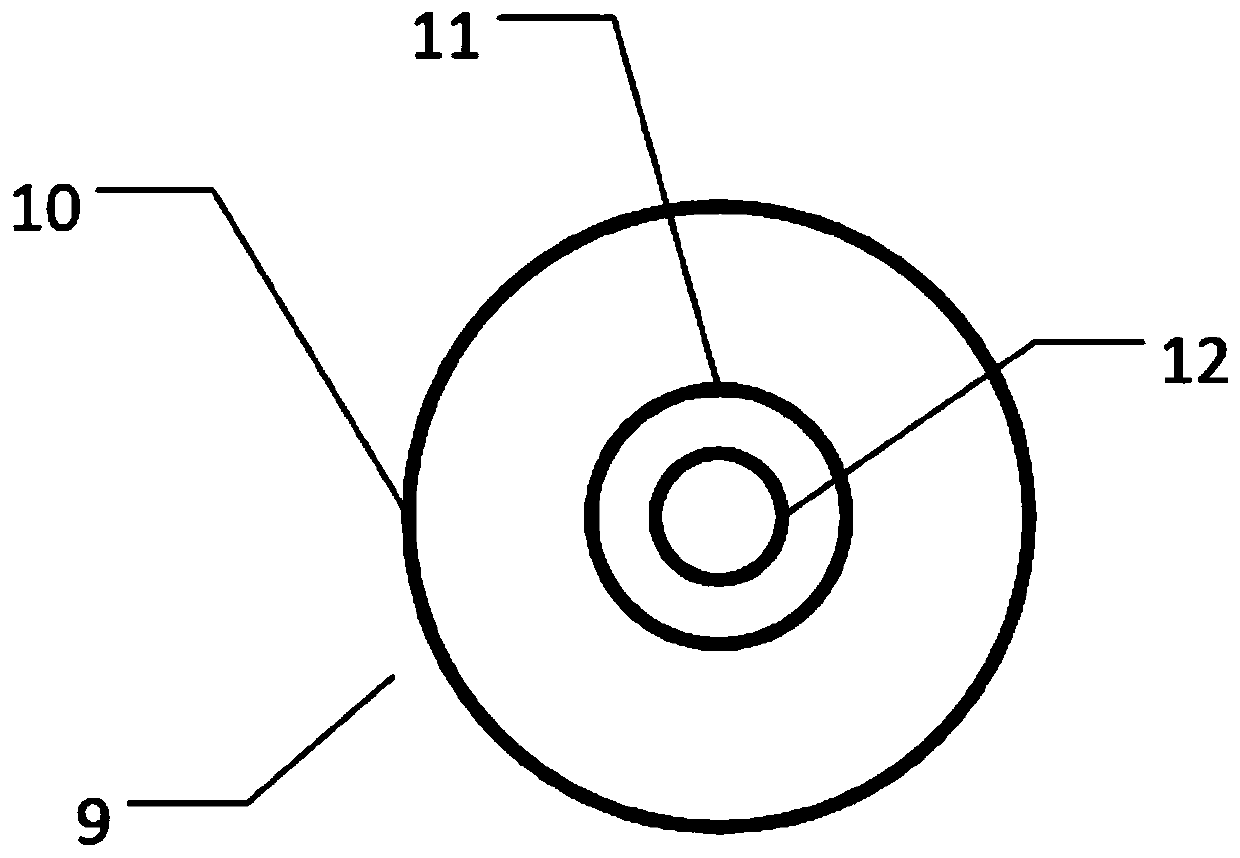 Annular-cavity single-column vector mode output pulse optical fiber laser device