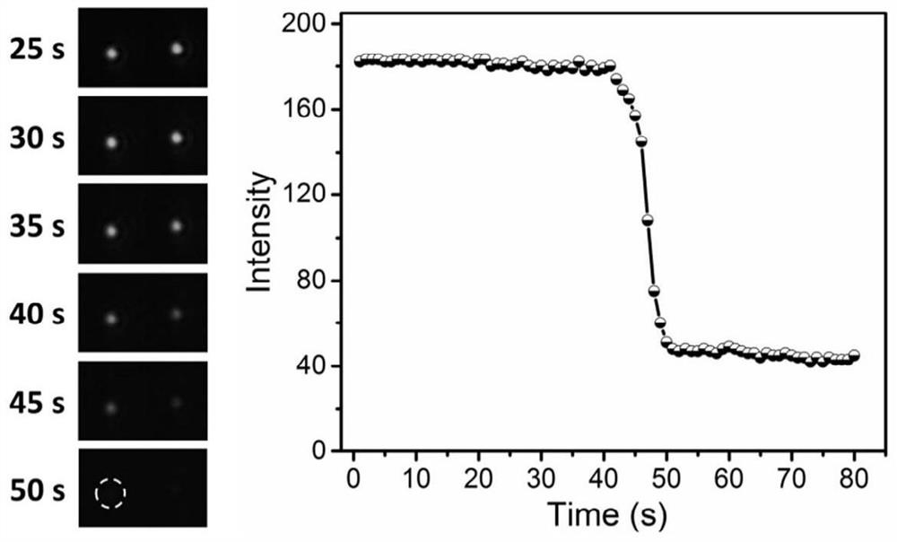 Nanocage probe, application thereof and nucleic acid detection method