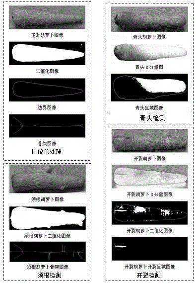 An Image Quantitative Detection Method for Carrot Defects