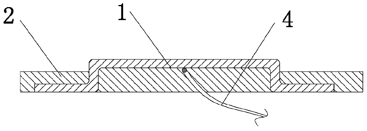 Flexible adjustable electrode