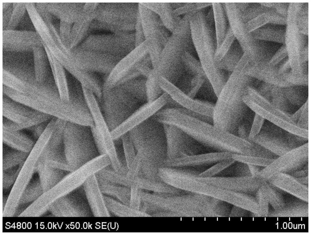 A kind of self-supporting nickel phosphide catalyst and its preparation method and application