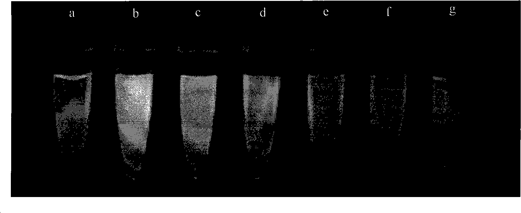 Multi-color optic-encoding siliceous skin nano-rods and method for preparing same