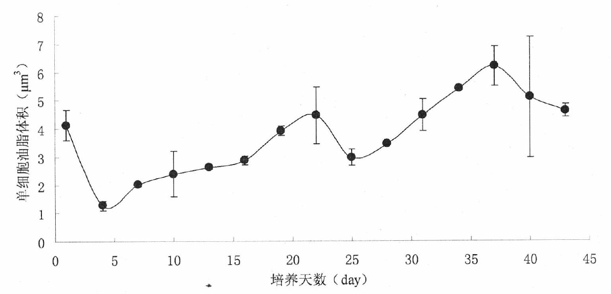 Method for detecting oil content of microalgae