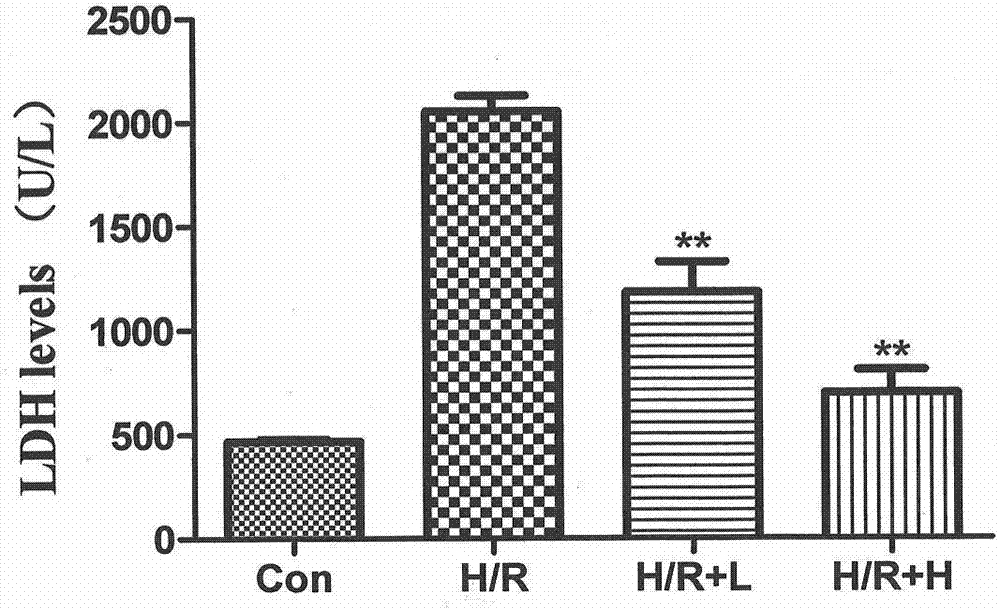 Novel application of cortex dictamni extract