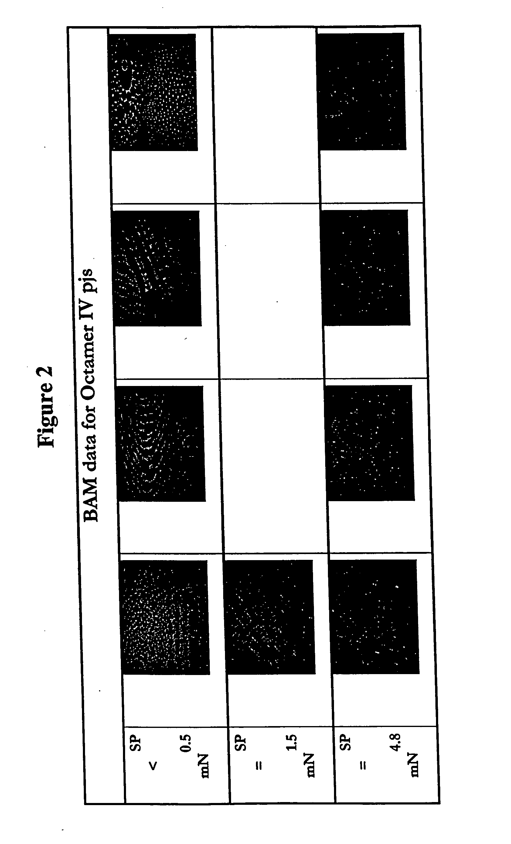 Bridged macrocyclic module compositions