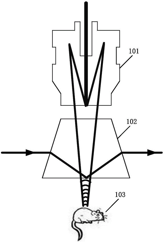 Sound signal detector based on surface wave, and reflection type photoacoustic microscope