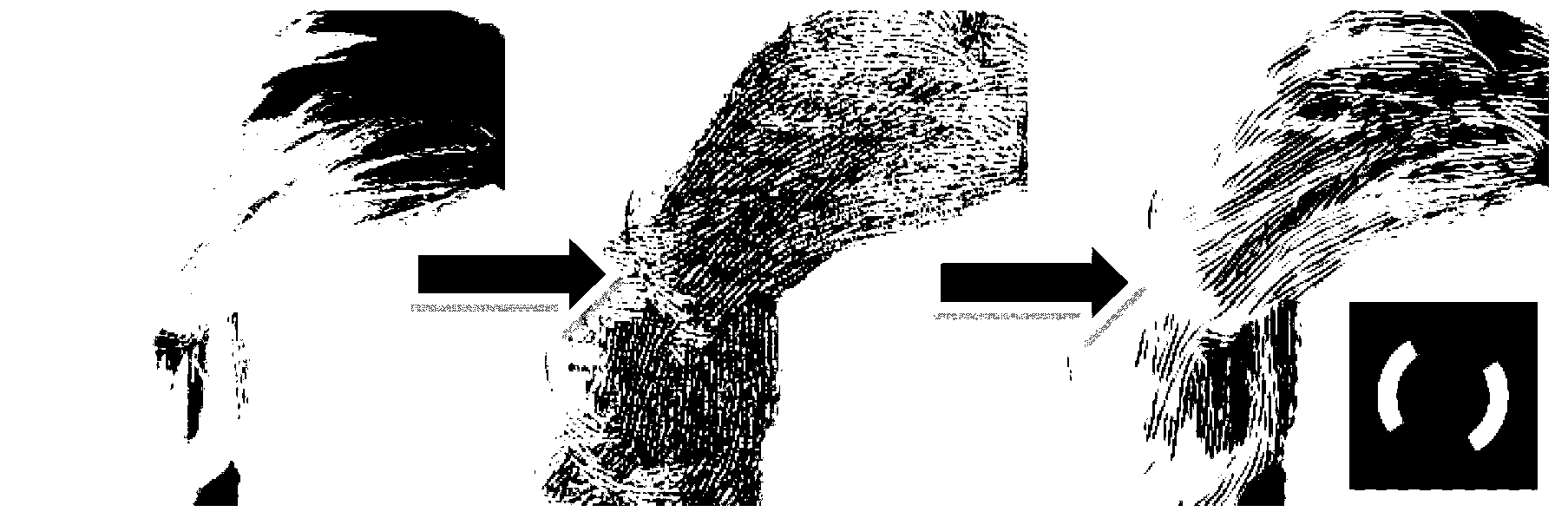 Hair modeling and portrait editing method based on single image