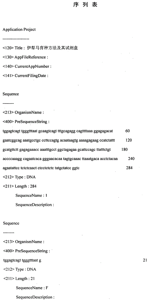 Yili Horse Breeding Method and Its Kit