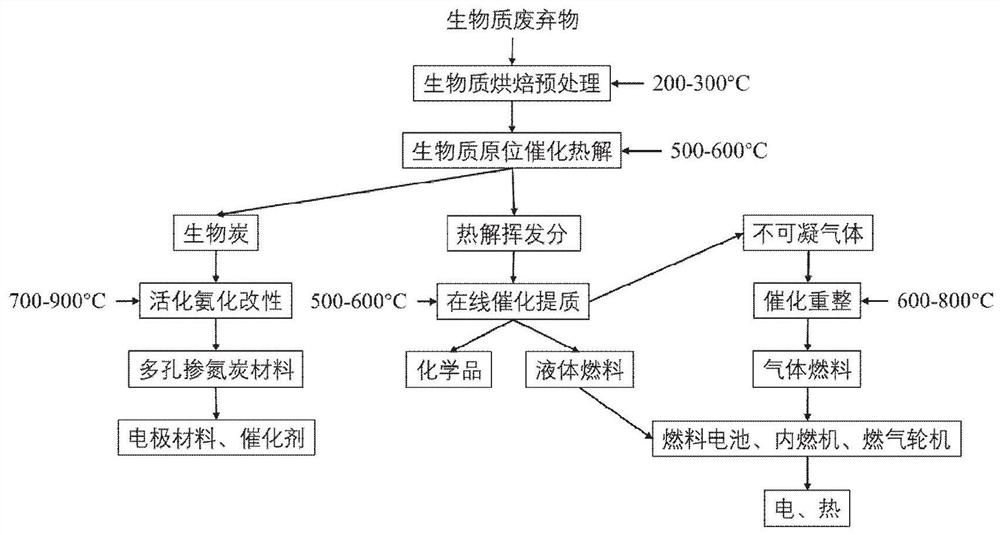 Biomass catalytic pyrolysis method for co-production of gas-liquid fuels, chemicals and carbon materials