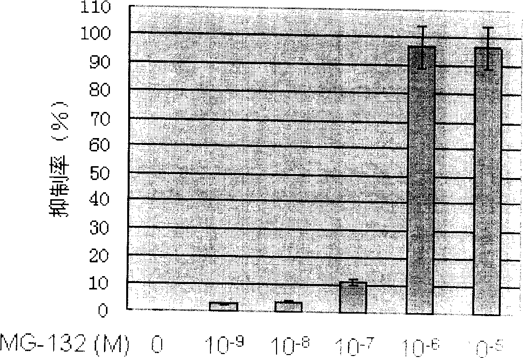 Application of compound MG 132 in preparation of medicine for treating leucocythemia