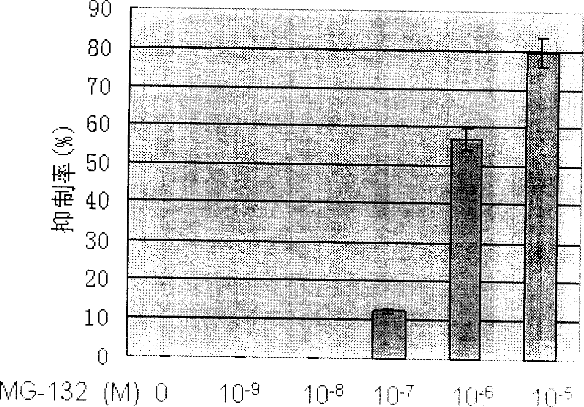 Application of compound MG 132 in preparation of medicine for treating leucocythemia