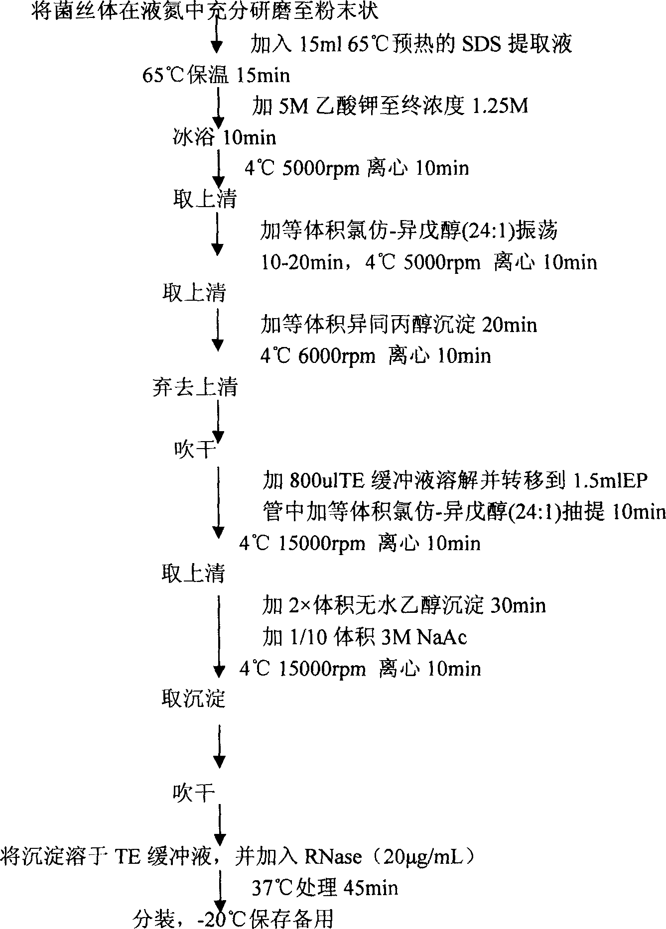 Detection method of soyabean phytophthora and special primer