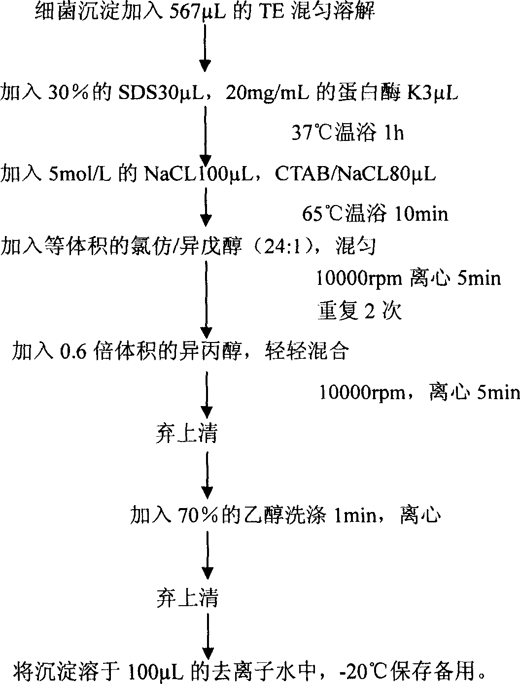 Detection method of soyabean phytophthora and special primer