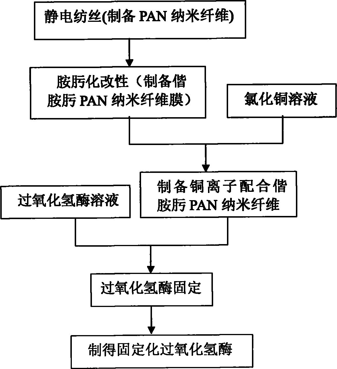 Catalase immobilization method on basis of using amidoxime PAN nanofibrous membrane as carrier