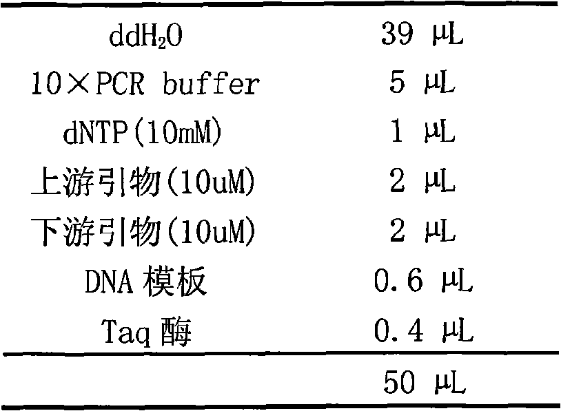 Method for reducing the content of poplar lignin with RNA interference