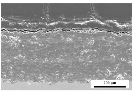 Wear-resistant and corrosion-resistant petroleum pipeline and preparation method thereof