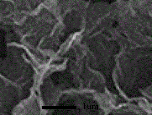 Preparation method for sulfur-doped three-dimensional structured positive electrode material of lithium-sulfur battery