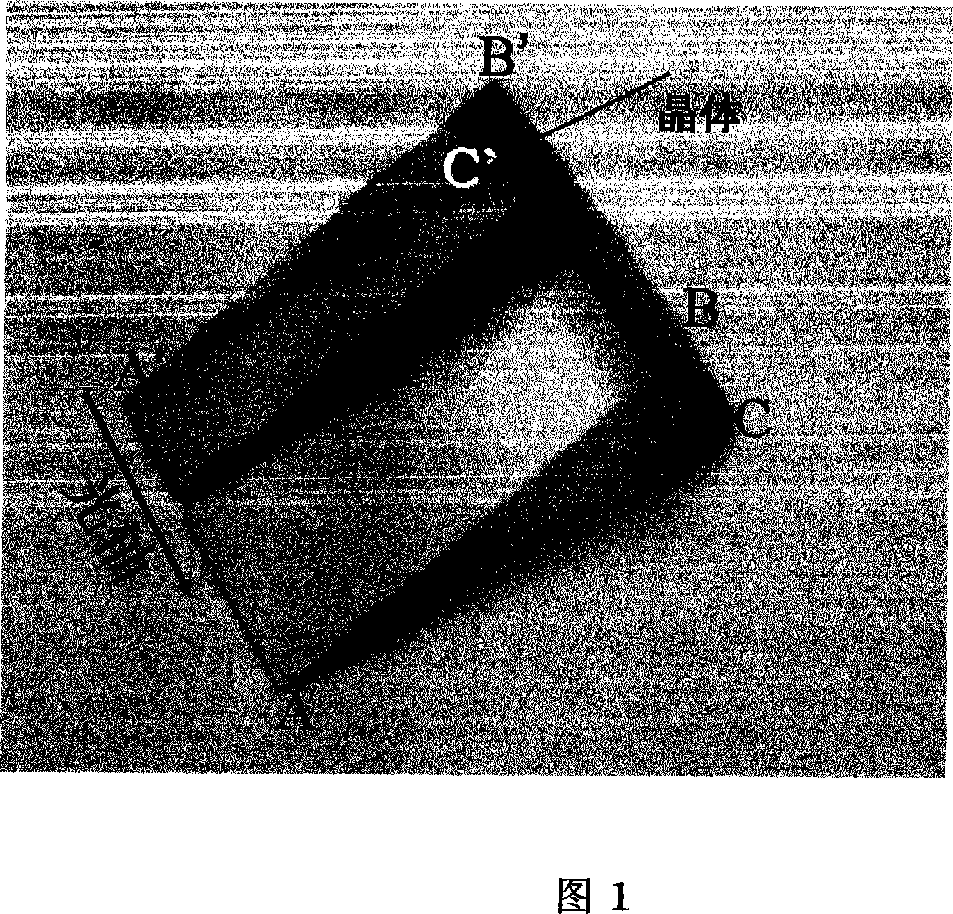 Use of double refraction crystal of borate system