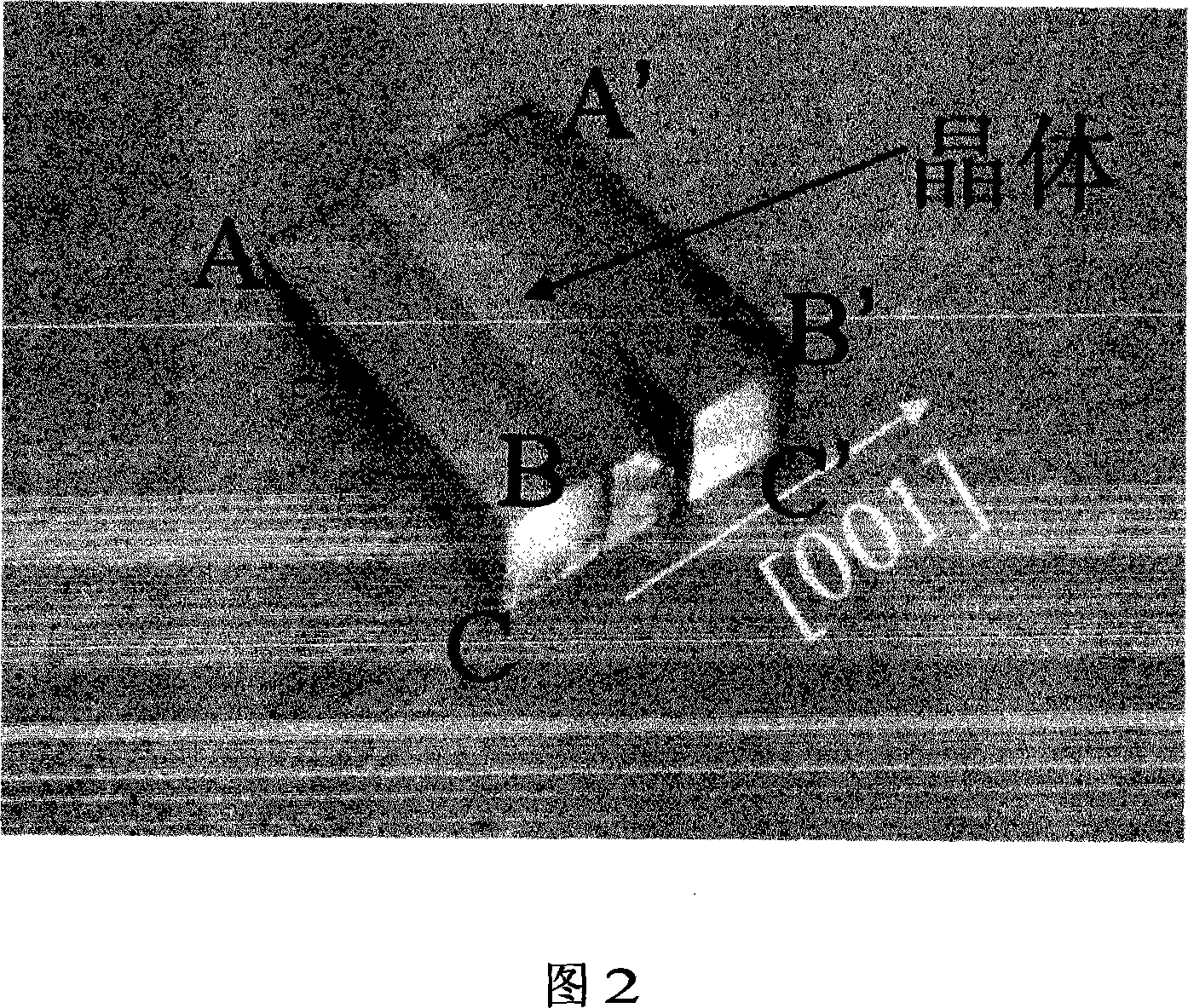 Use of double refraction crystal of borate system