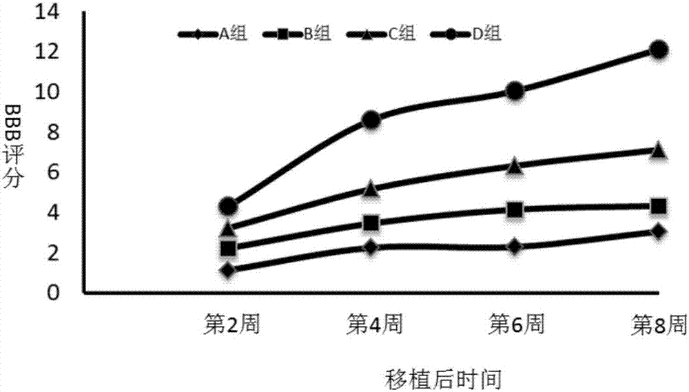 Nerve regeneration gel as well as preparation method and application thereof