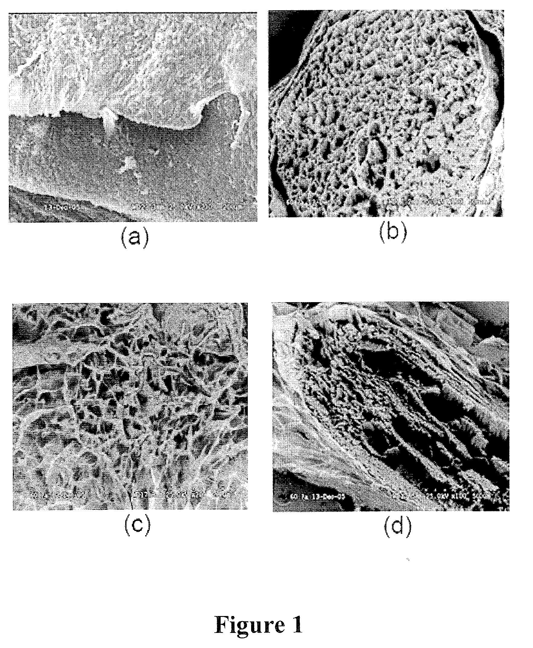 Structurally modified acellular tissue engineering scaffolds and methods of production