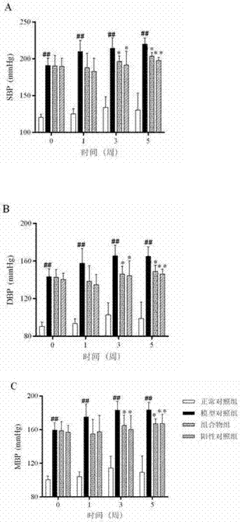 Traditional Chinese medicine composition and application thereof in preparation of drugs for preventing or treating hypertension