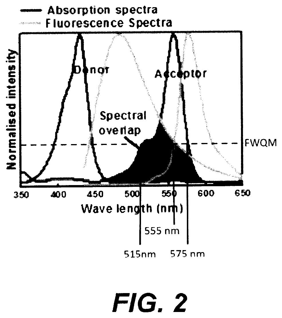 Biophotonic compositions for treating skin and soft tissue wounds having either or both non-resistant and resistant infections