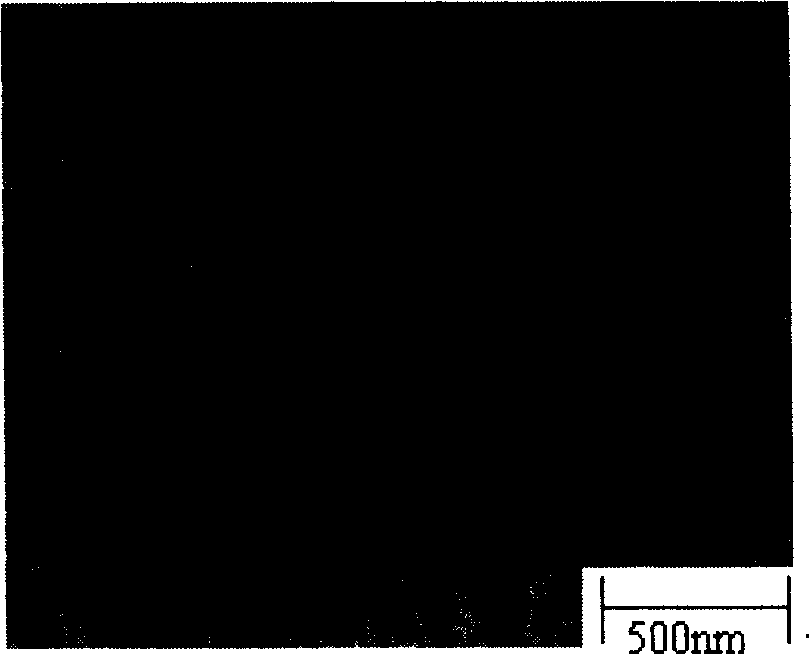 Method for preparing carbon gas gel